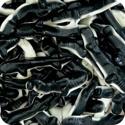 Orca Whales