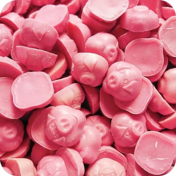 Porky Pigs