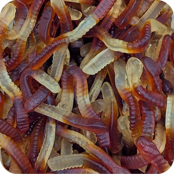 Cola Snakes