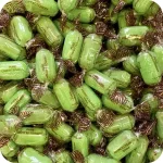 Chocolate Limes