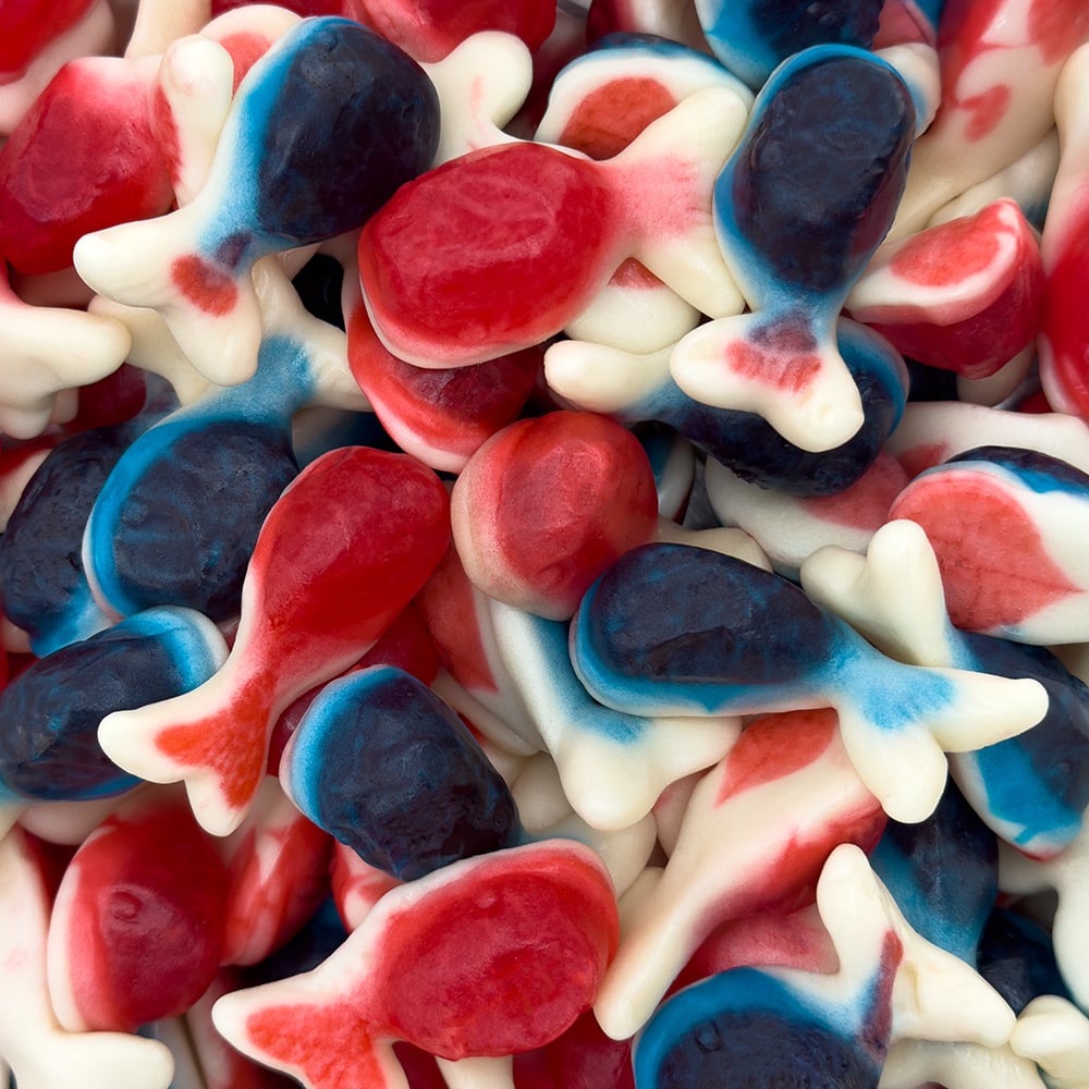 Jelly Filled Whales